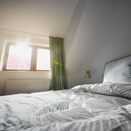 Apartamento V Centru Dění