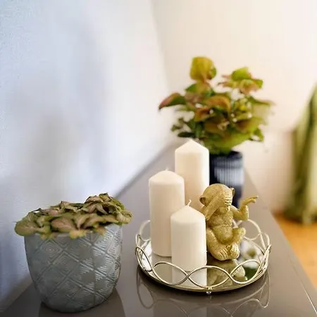 V Centru Deni Apartment *