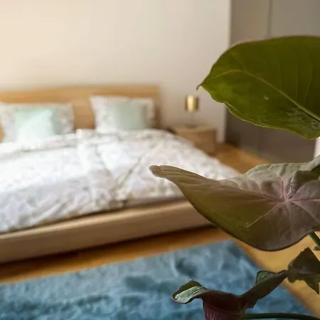 V Centru Deni * Olmütz