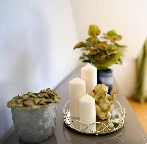 V Centru Deni Apartment *