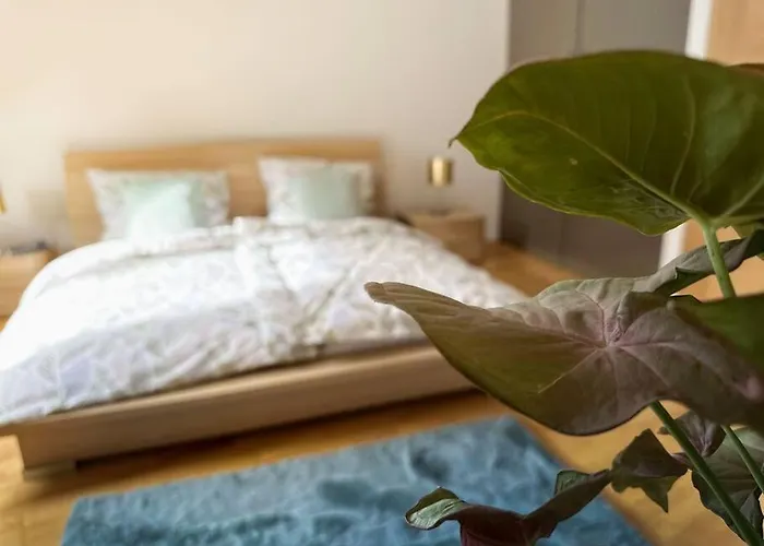 V Centru Deni * Olomouc